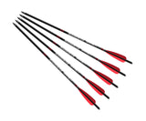 Barnett Headhunter™ 22" Arrow - 5 Pack Hunting Crossbow Arrows 